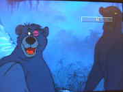 The real Baloo and Bagheera